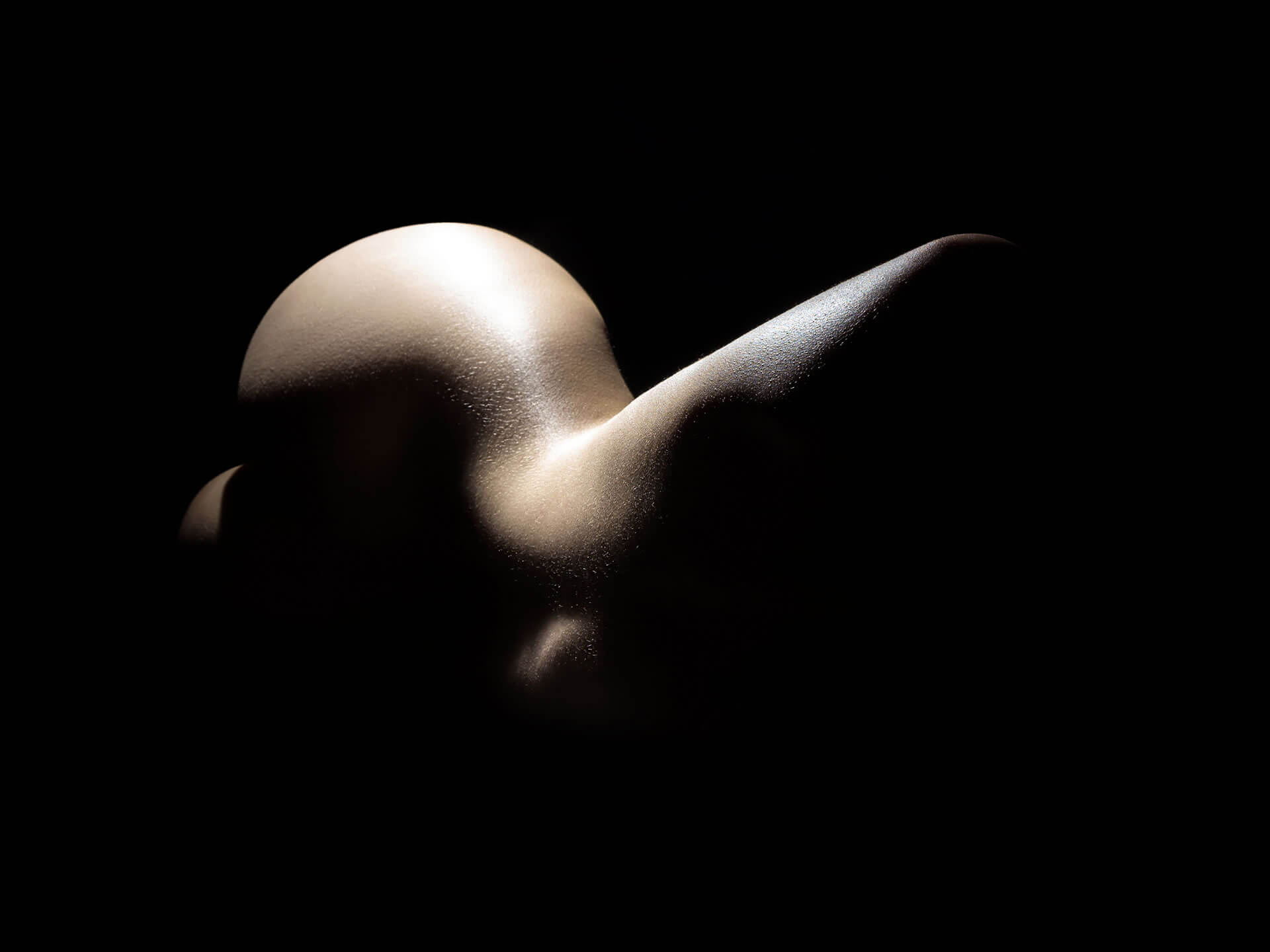 Local Sex Finder | Free Local Sex Hookups In Your Area